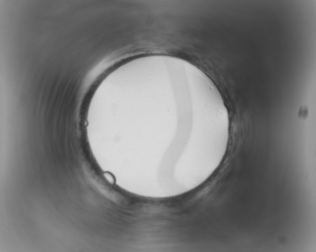 X0000113090246200910091304