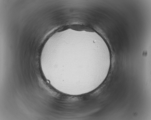 X0000113090249200910091304