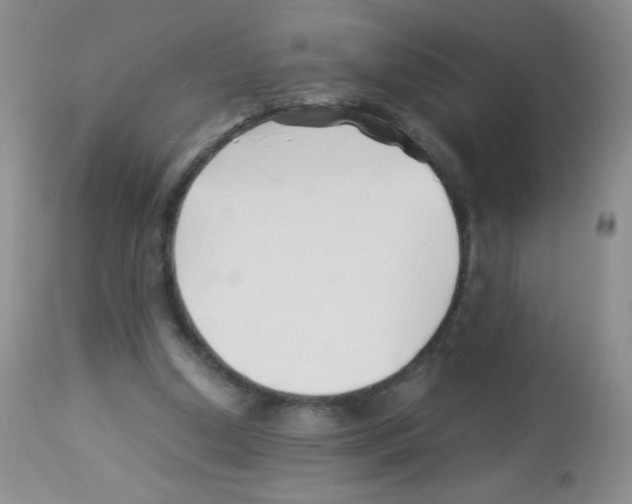 X0000113090250200910091304
