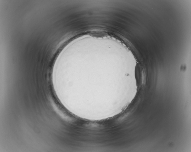 X0000113090253200910091304