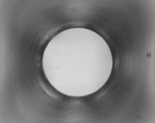 X0000113090254200910091304