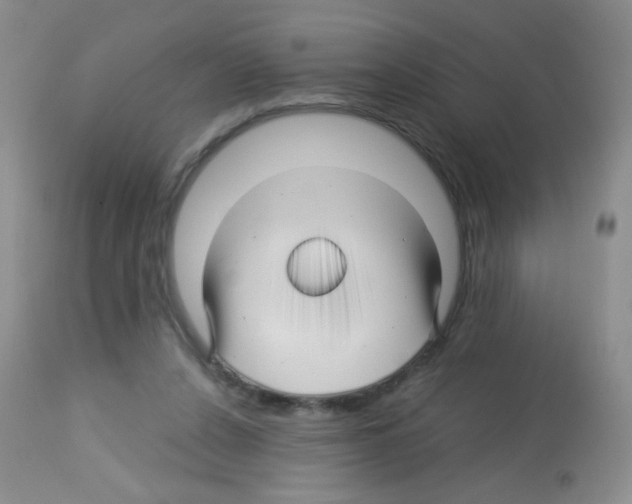 X0000113090256200910091304