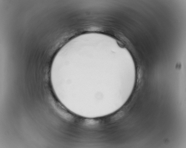 X0000113090257200910091304