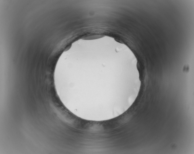 X0000113090258200910091304