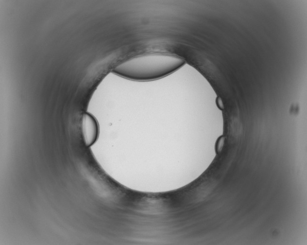 X0000113090260200910091304
