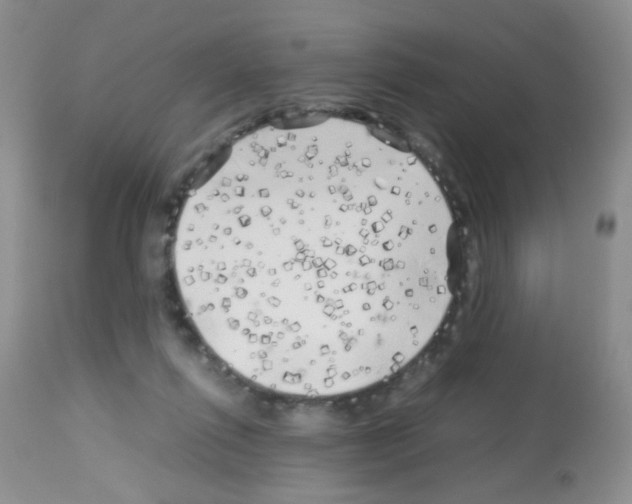 X0000113090262200910091304