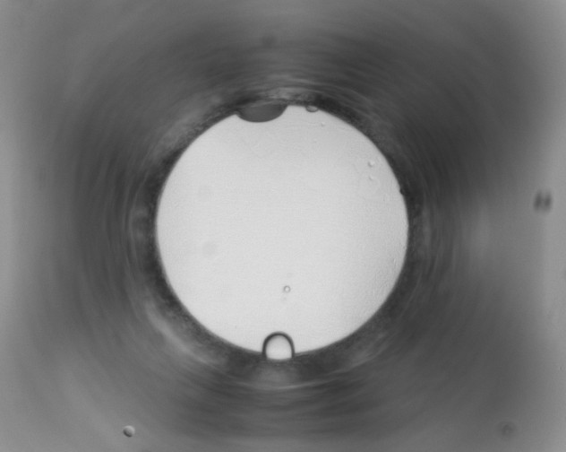 X0000113090263200910091304
