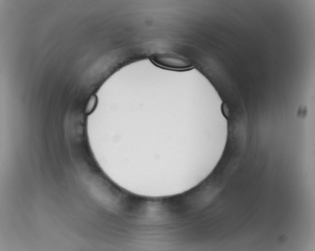 X0000113090264200910091304