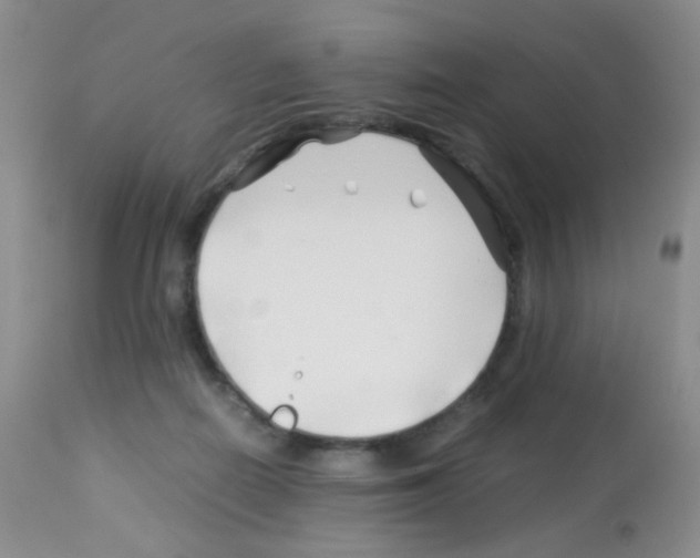 X0000113090266200910091304