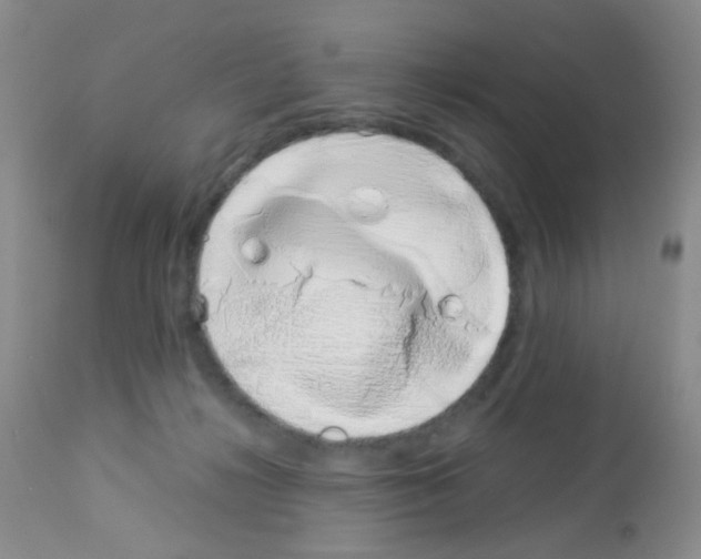 X0000113090268200910091304