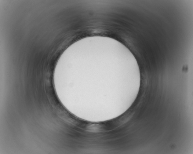 X0000113090269200910091304