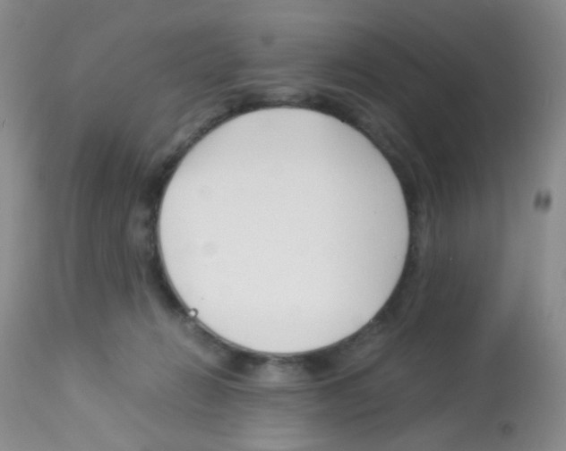 X0000113090270200910091304