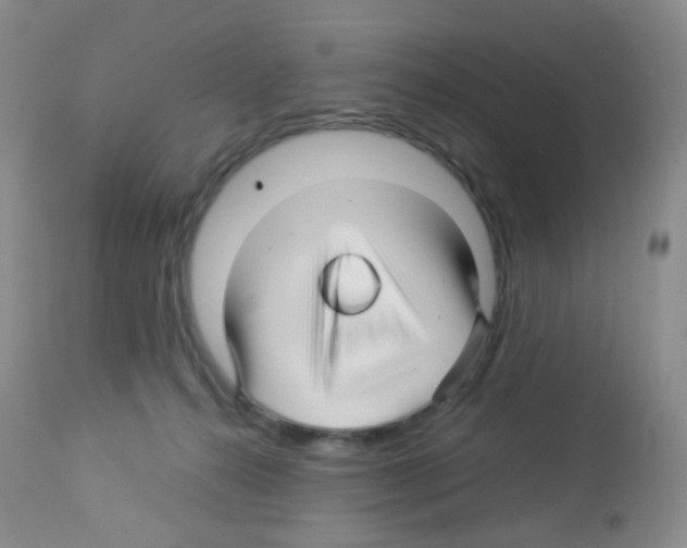 X0000113090272200910091304