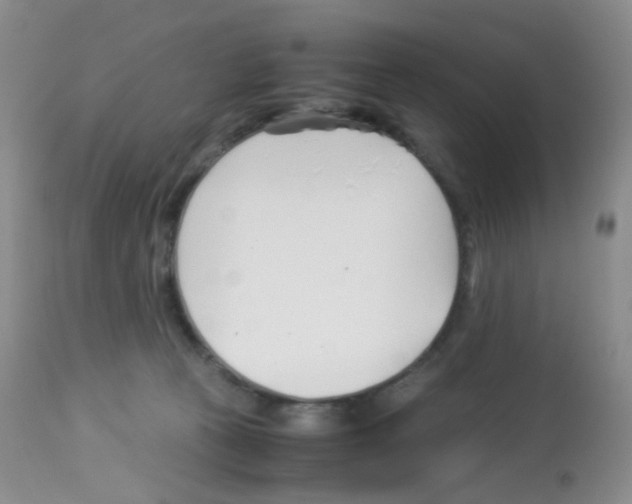 X0000113090273200910091304