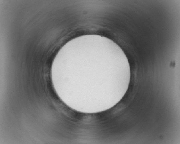 X0000113090274200910091304