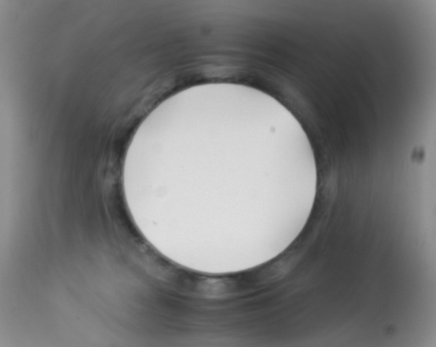 X0000113090277200910091304