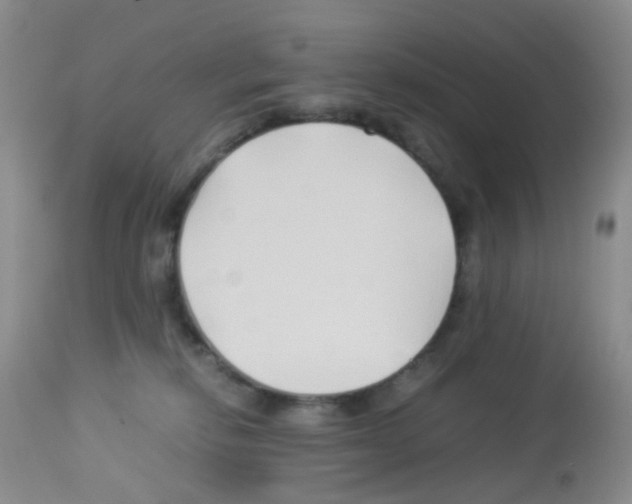 X0000113090278200910091304