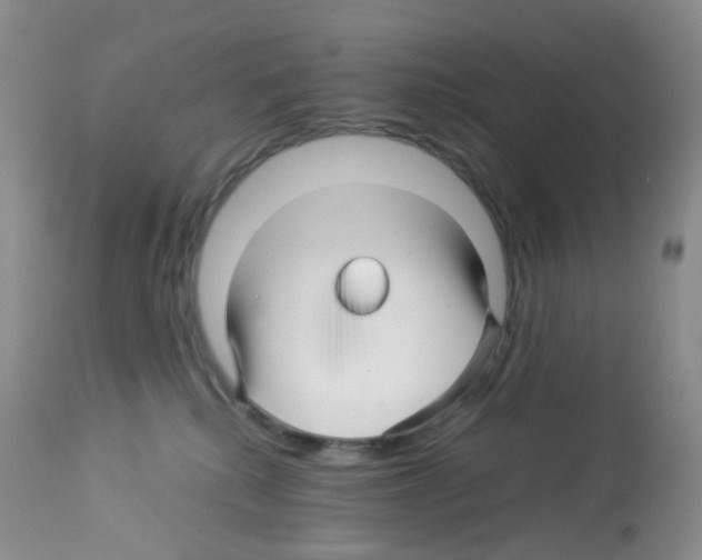 X0000113090280200910091304