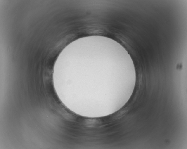 X0000113090281200910091305