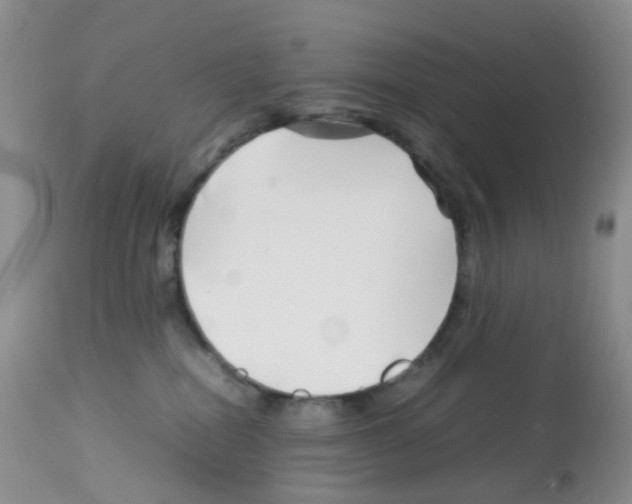 X0000113090282200910091305
