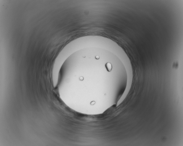 X0000113090284200910091305