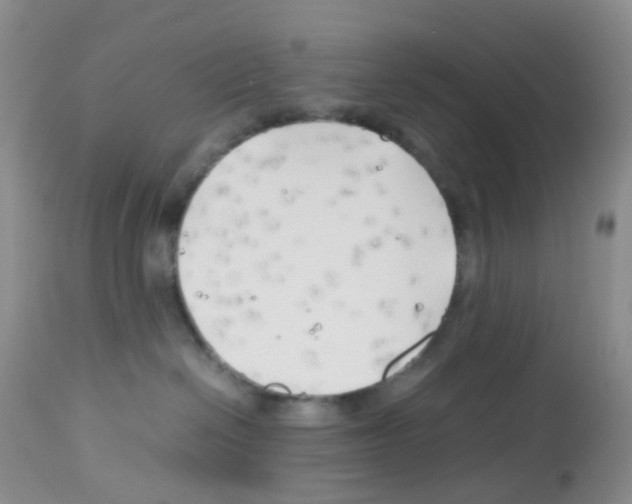 X0000113090286200910091305