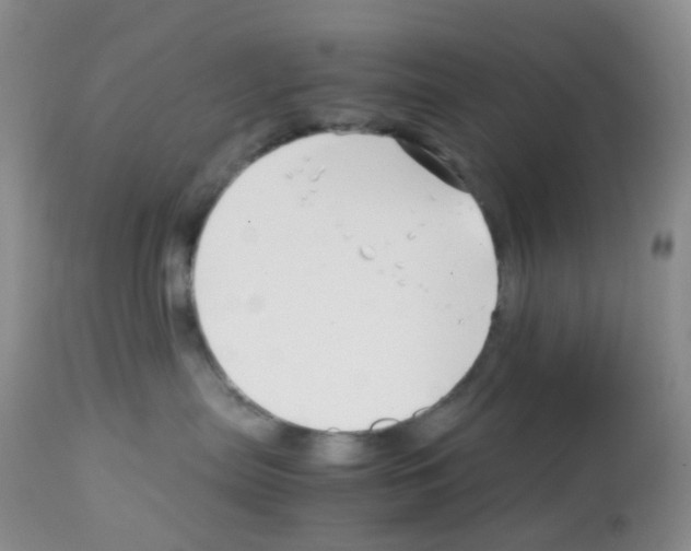 X0000113090287200910091305