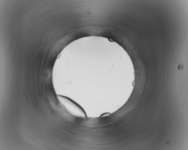 X0000113090288200910091305