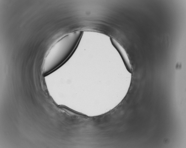 X0000113090289200910091304