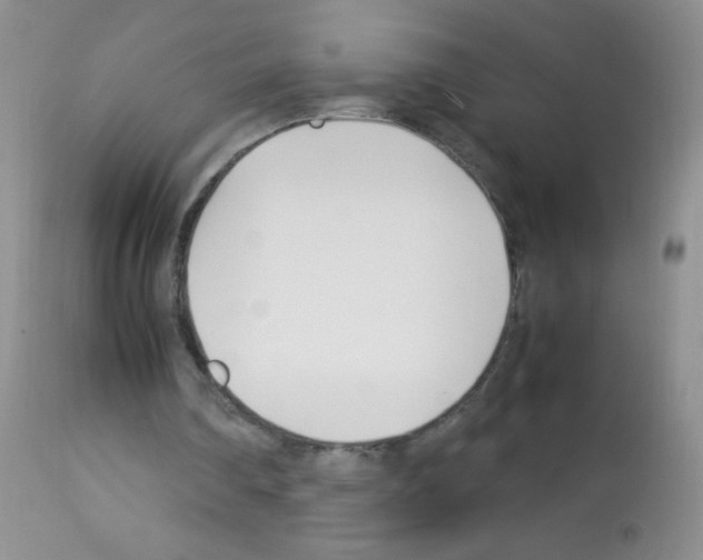 X0000113090290200910091304