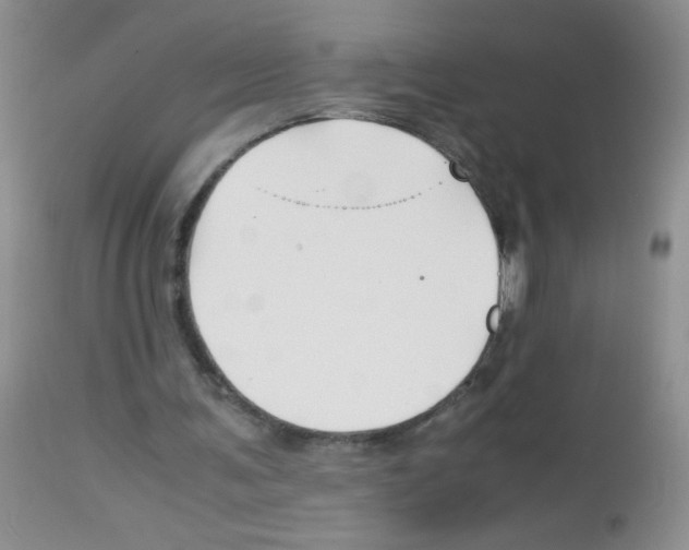 X0000113090291200910091304