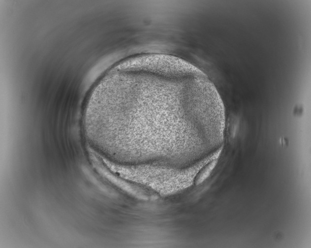 X0000113090292200910091304