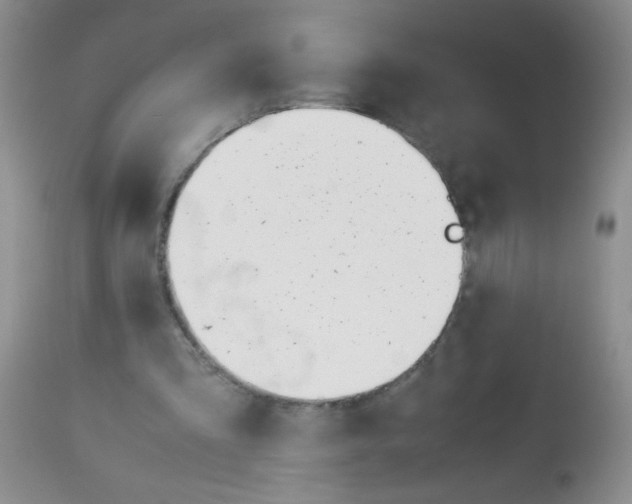X0000113090293200910091304