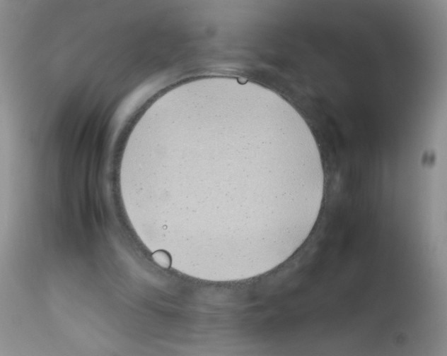 X0000113090294200910091304