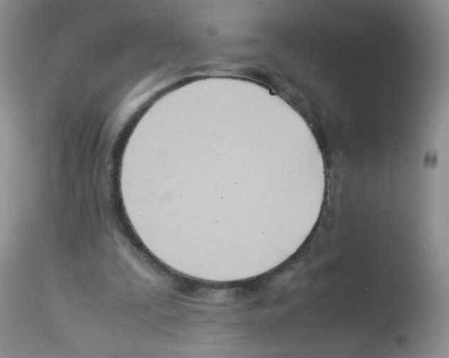 X0000113090295200910091304