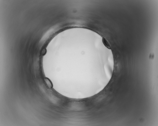X0000113090296200910091304