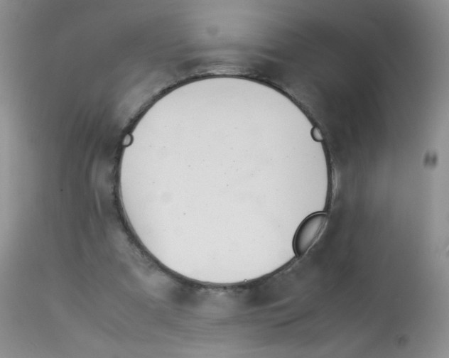 X0000113090297200910091304