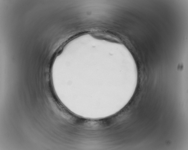 X0000113090299200910091304