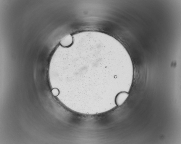 X0000113090301200910091304