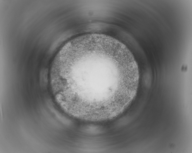 X0000113090302200910091304