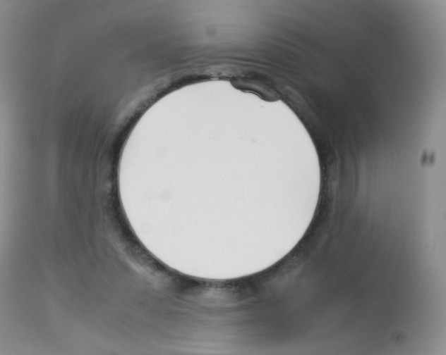 X0000113090303200910091304