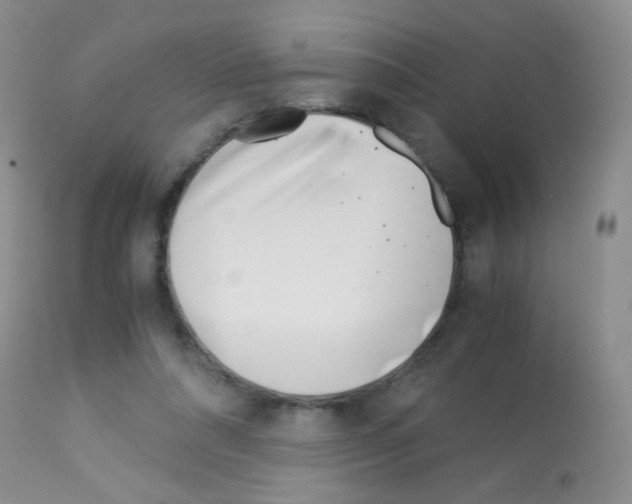 X0000113090304200910091304