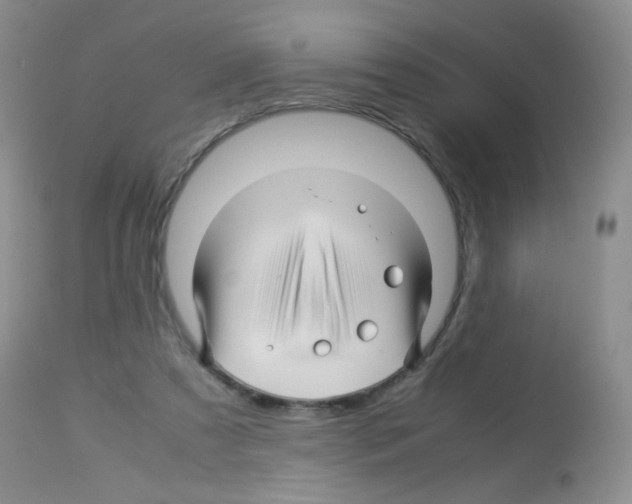 X0000113090305200910091304