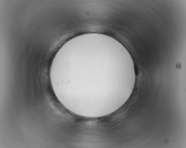 X0000113090306200910091304