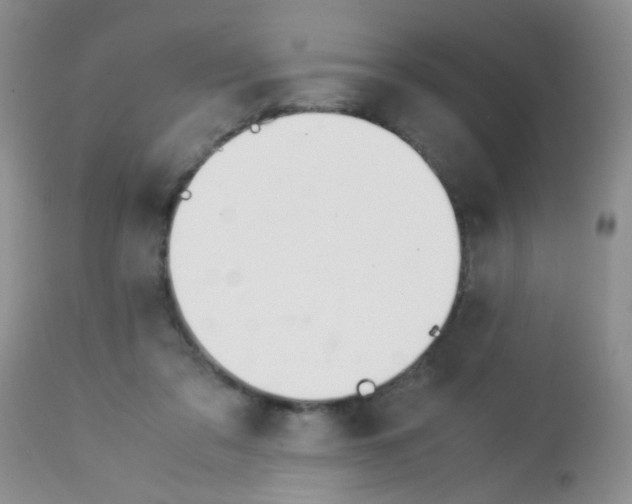X0000113090309200910091304