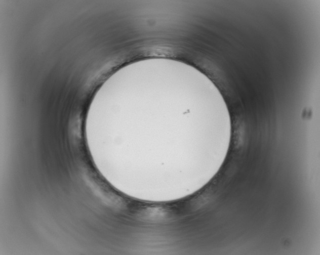 X0000113090310200910091303