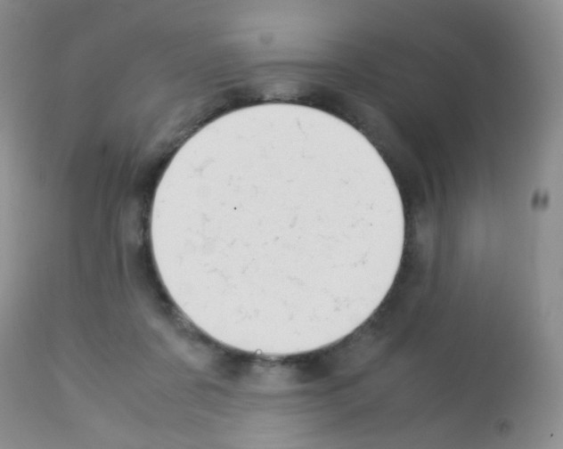 X0000113090311200910091303