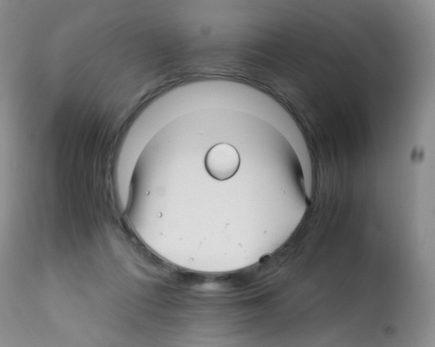 X0000113090312200910091303