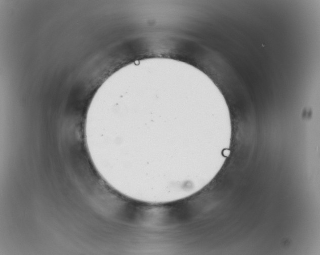 X0000113090313200910091303