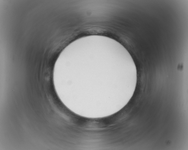 X0000113090315200910091303